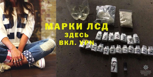 стаф Осинники