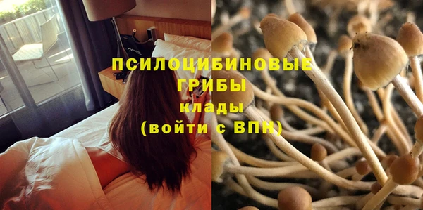 дурь Абинск